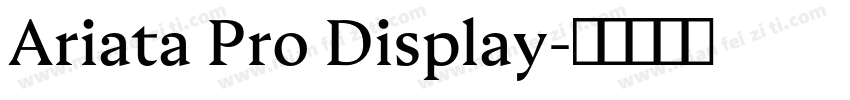Ariata Pro Display字体转换
